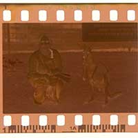 Negative to DVD Movie